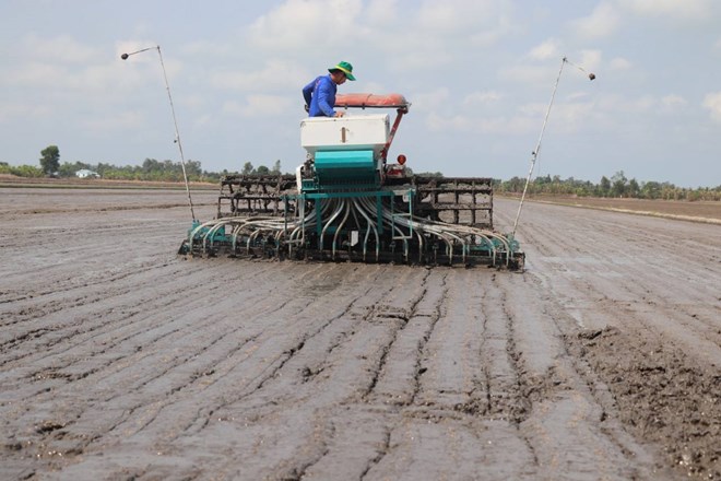Cánh đồng 1 triệu ha lúa chất lượng cao kì vọng thêm lợi nhuận cho nông dân