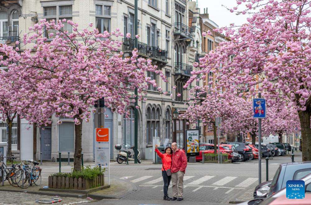 Du khách và người dân đến thủ đô Brussels những ngày này ai cũng muốn dừng chân chụp ảnh lưu niệm. Ảnh: Xinhua