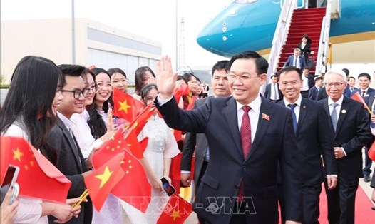 Cán bộ, nhân viên Đại sứ quán và đại diện cộng đồng người Việt Nam đón Chủ tịch Quốc hội Vương Đình Huệ tại sân bay quốc tế Bắc Kinh. Ảnh: Nhan Sáng/TTXVN