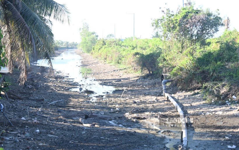 Các kênh ở huyện Gò Công Đông (tỉnh Tiền Giang) bị khô cạn. Ảnh: Thành Nhân