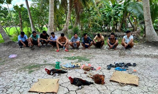 10 đối tượng tụ tập đá gà ăn thua bằng tiền tại vườn dừa ở huyện Tam Bình, tỉnh Vĩnh Long, bị Công an bắt quả tang. Ảnh: Công an cung cấp. 