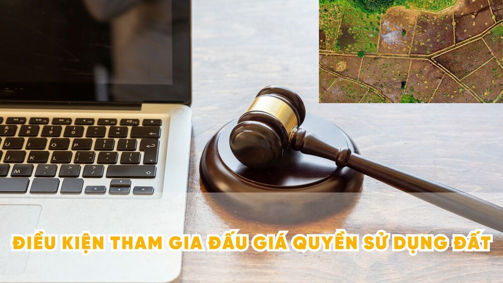 Điều kiện khi tham gia đấu giá quyền sử dụng đất theo luật mới. Đồ hoạ: Phương Thảo