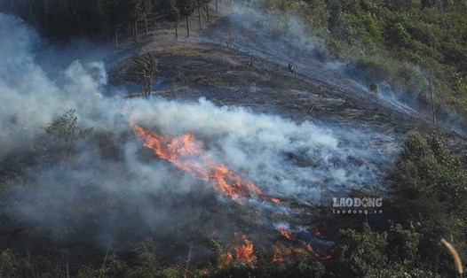 Điện Biên yêu cầu các địa phương tăng cường công tác quản lý, bảo vệ rừng và phòng cháy chữa cháy rừng. Ảnh: Văn Thành Chương