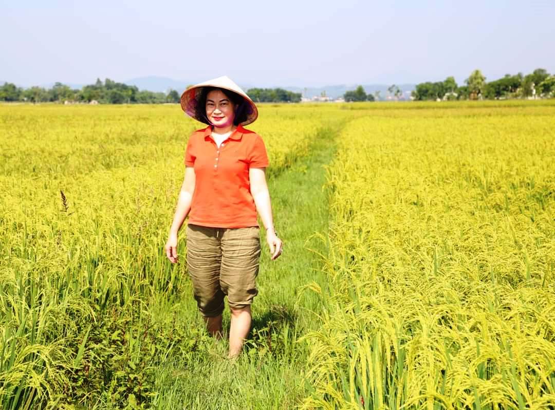Việt Nam tham gia sản xuất lúa gạo chất lượng cao, giảm phát thải carbon. Ảnh Phi Hổ