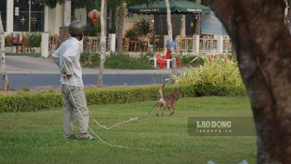 Anh Trần Trọng Nghĩa (24 tuổi, quận Cái Răng) - cho biết, anh cũng là người rất yêu chó, mèo, nhưng khi ra công viên nhìn thấy cảnh chó thả rông nhan nhản làm anh khá lo sợ.