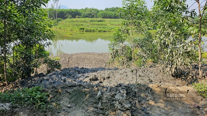 Thông tin với phóng viên Báo Lao Động, một người dân (xin dấu tên) tại thôn Bằng Lãng cho biết, hàng ngày có vài chiếc mang theo bùn thải đến hồ nước này đổ xả. Những tấn bùn này có mùi hôi thối nồng nặc, rất khó chịu. 