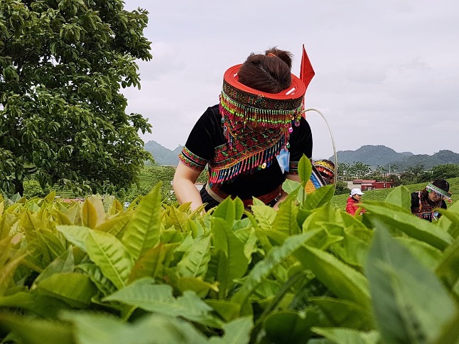 Chuyển đổi số để xanh hóa tiêu dùng, bảo vệ môi trường gắn liền với sản xuất. Ảnh: Vũ Long