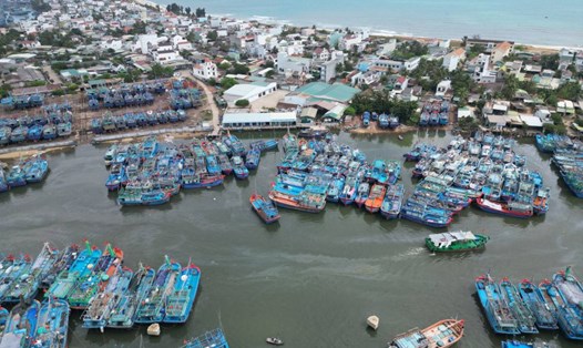 Khu neo đậu tàu thuyền cảng cá Tam Quan, thị xã Hoài Nhơn (Bình Định).  Ảnh: Hoài Luân