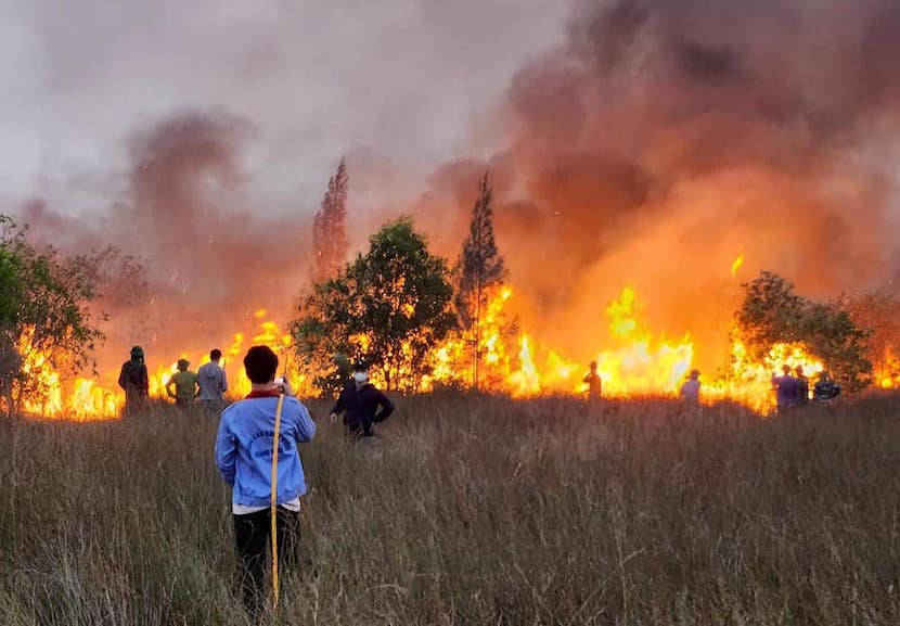 Vụ cháy xảy ra ở xã Hải Ninh khiến 20ha rừng thiệt hại. Ảnh: V. Hoàng