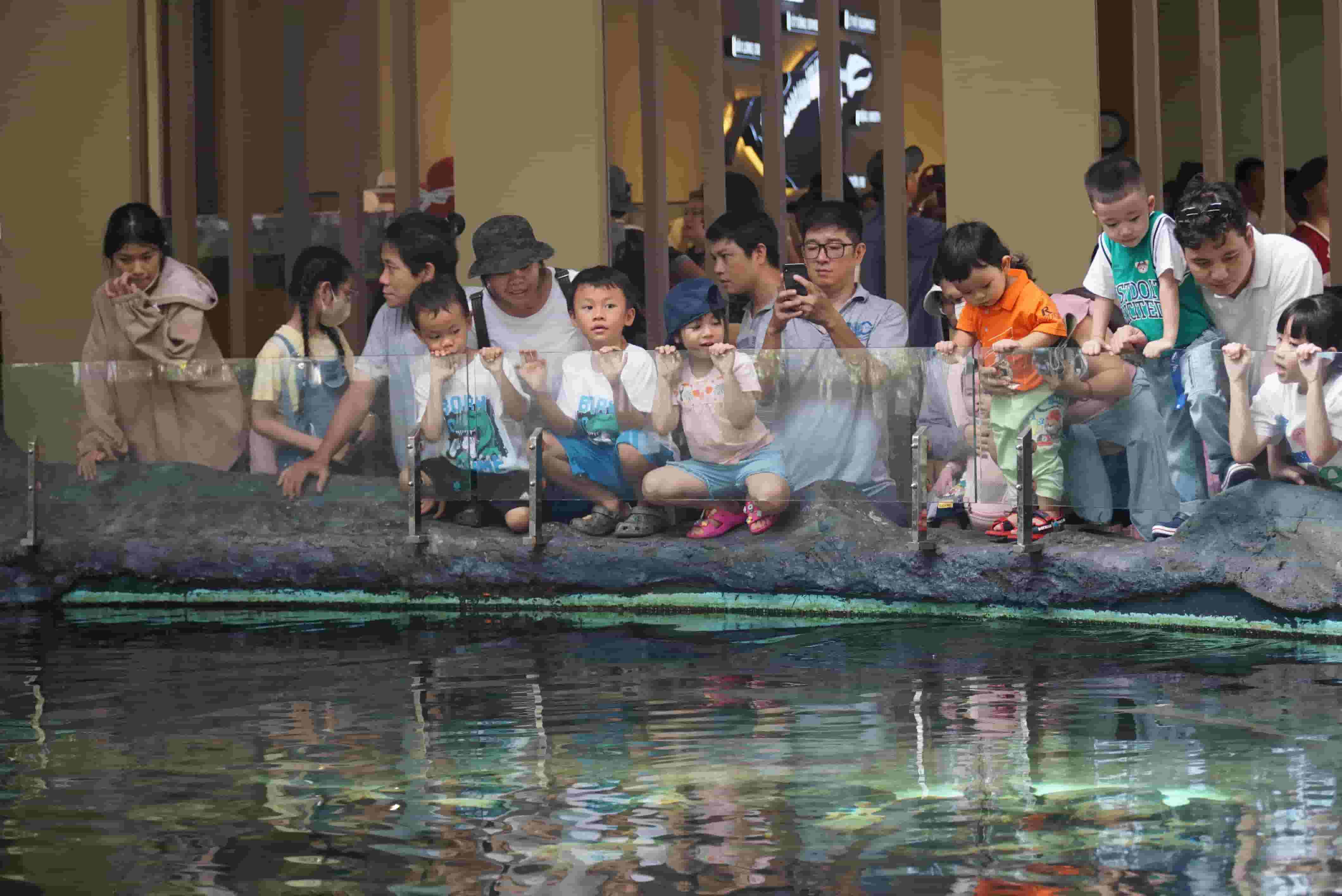 Nhiều gia đình có con nhỏ thường lựa chọn Bảo tàng Hải dương học làm nơi tham quan, du lịch. Ảnh: Hữu Long