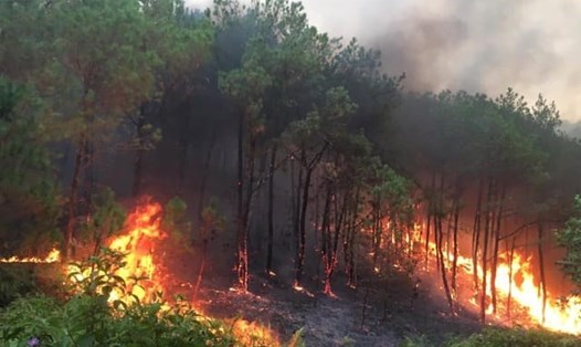 Đám cháy rừng xuất phát từ xóm Tân Phong, xã Thanh Khai, huyện Thanh Chương (Nghệ An). Ảnh: Anh Tuấn