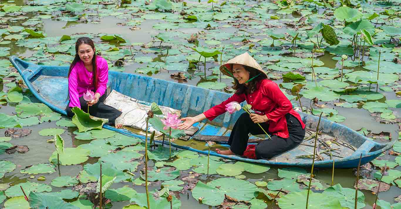 Các cánh đồng sen nơi đây còn thu hút du khách đến tham quan, chụp ảnh, trải nghiệm hái sen.