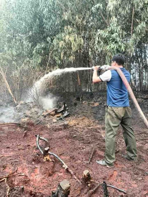 3 ngày sau khi vụ cháy rừng tại tràm tại ấp T4, xã Vĩnh Phú, huyện Giang Thành thuộc Sư đoàn 330 quản lý xảy ra, đến nay đám cháy cơ bản đã được khống chế. Các lực lượng vẫn đang tiếp tục xử lý triệt để, tránh để cháy âm ỉ phía dưới các lớp than sẽ gây cháy lại, cháy lan.