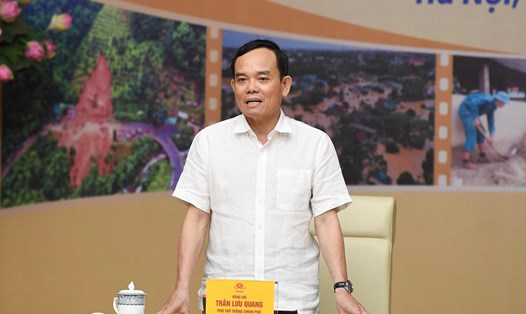 Phó Thủ tướng Chính phủ Trần Lưu Quang kết luận hội nghị. Ảnh: Đinh Huy
