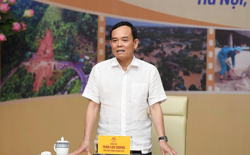 Phó Thủ tướng Chính phủ Trần Lưu Quang kết luận hội nghị. Ảnh: Đinh Huy