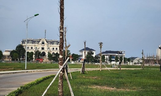 Nhiều cây xanh chết khô trong công viên Bố Vệ, TP Thanh Hóa. Ảnh: T.L