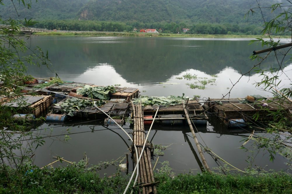 “Tuy nhiên, đây mới chỉ là kết quả phân tích các chỉ số ô xy, các chất hữu cơ liên quan đến vấn đề sinh lý của thủy sản. Còn việc phân tích mẫu nước liên quan đến các chỉ số độc hại thì phải chờ kết quả từ Sở Tài nguyên và Môi trường tỉnh” - ông Tâm thông tin. Ảnh: Minh Hoàng