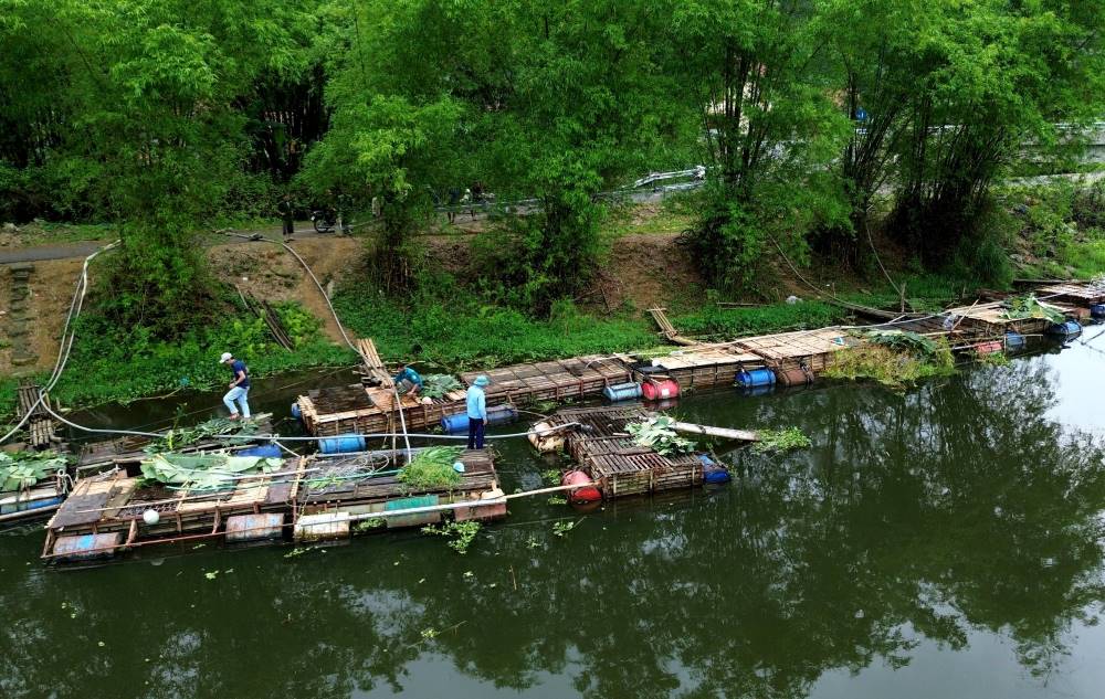 Theo nhiều người dân ở huyện Bá Thước, tỉnh Thanh Hóa cho biết, gần 2 tháng qua, nguồn nước sông Mã (đoạn chảy qua địa bàn huyện) chuyển màu đen xì và ô nhiễm nghiêm trọng. Ảnh: Minh Hoàng