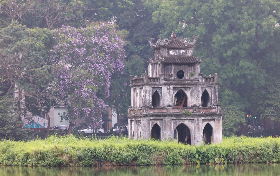 Một số địa điểm du khách có thể ngắm hoa bằng lăng ở Hà Nội: Hồ Gươm, đường Hoàng Quốc Việt, đường ven hồ Tây, công viên Nghĩa Đô, hồ Hoàng Cầu... Ảnh: Hải Nguyễn