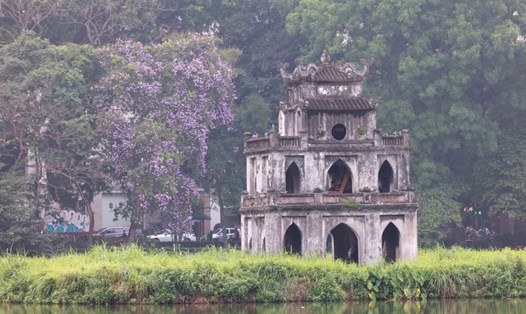 Một số địa điểm du khách có thể ngắm hoa bằng lăng ở Hà Nội: Hồ Gươm, đường Hoàng Quốc Việt, đường ven hồ Tây, công viên Nghĩa Đô, hồ Hoàng Cầu... Ảnh: Hải Nguyễn