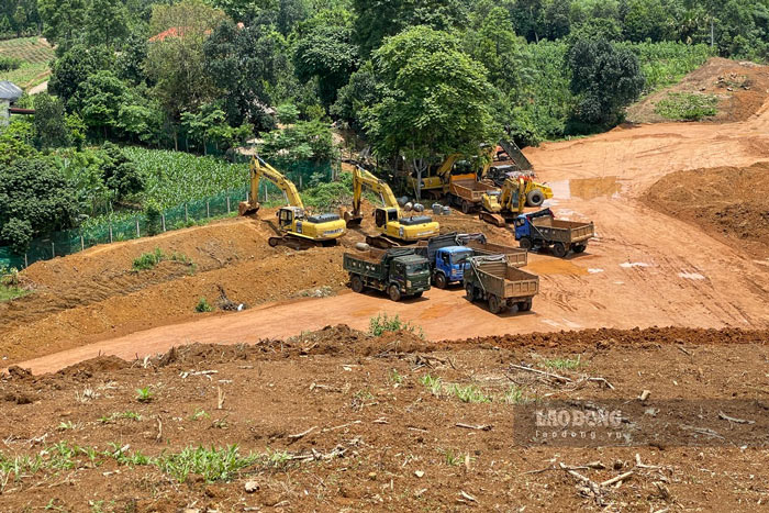 Máy móc được triển khai để san gạt mặt bằng phục vụ dự án. Ảnh: Đinh Đại