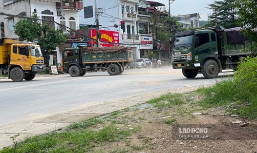 Hàng loạt xe trọng tải lớn hoạt động rầm rộ gây bụi bặm và mất an toàn giao thông tại đường Điện Biên, phường Yên Ninh (TP Yên Bái). Ảnh: Đinh Đại