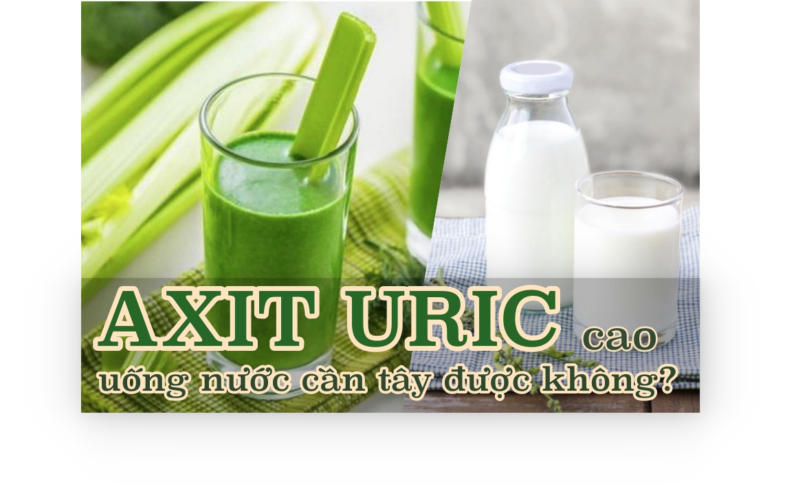 Cần tây không chứa purin rất thích hợp cho người có lượng axit uric cao. Đồ hoạ: Trà My