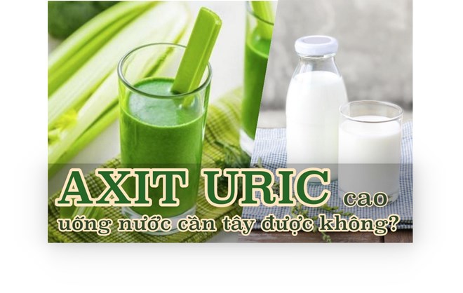 Axit uric cao, có nên uống nước cần tây hay sữa hay không?