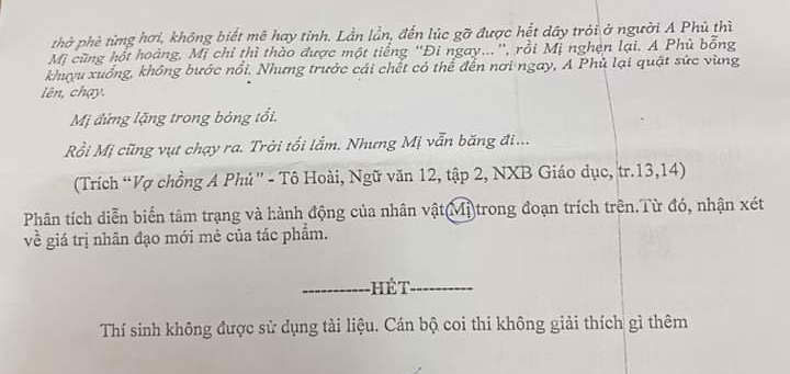 Đề thi thử tốt nghiệp THPT 2024 môn Văn 2024. Ảnh: Tuyensinh247