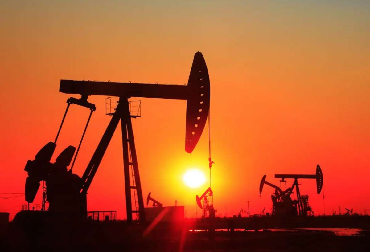 UAE dự định đầu tư vào nhiên liệu sinh học có thể thay thế dầu mỏ. Ảnh chụp màn hình