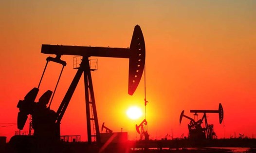 UAE dự định đầu tư vào nhiên liệu sinh học có thể thay thế dầu mỏ. Ảnh chụp màn hình
