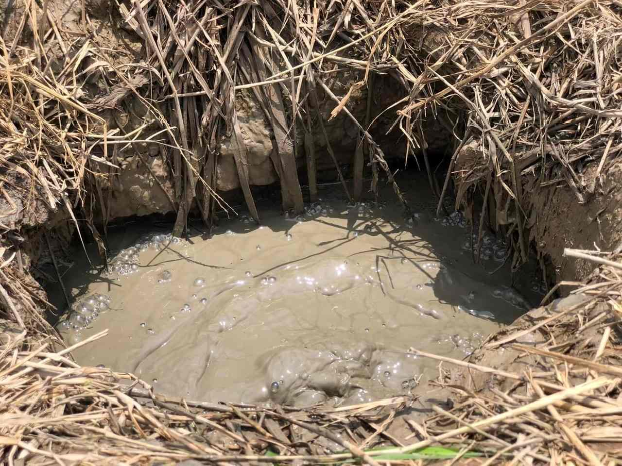 Giếng nước tự sôi ở Sóc Trăng. Ảnh: Người dân cung cấp