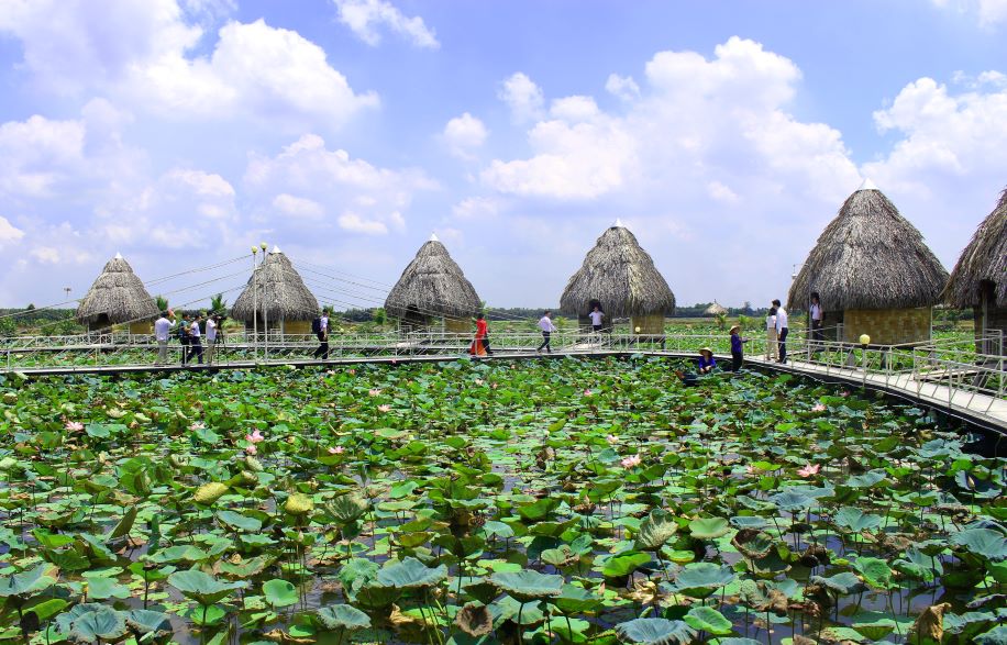 Điểm check in sen ở huyện Tháp Mười (Đồng Tháp). Ảnh: Lâm Điền