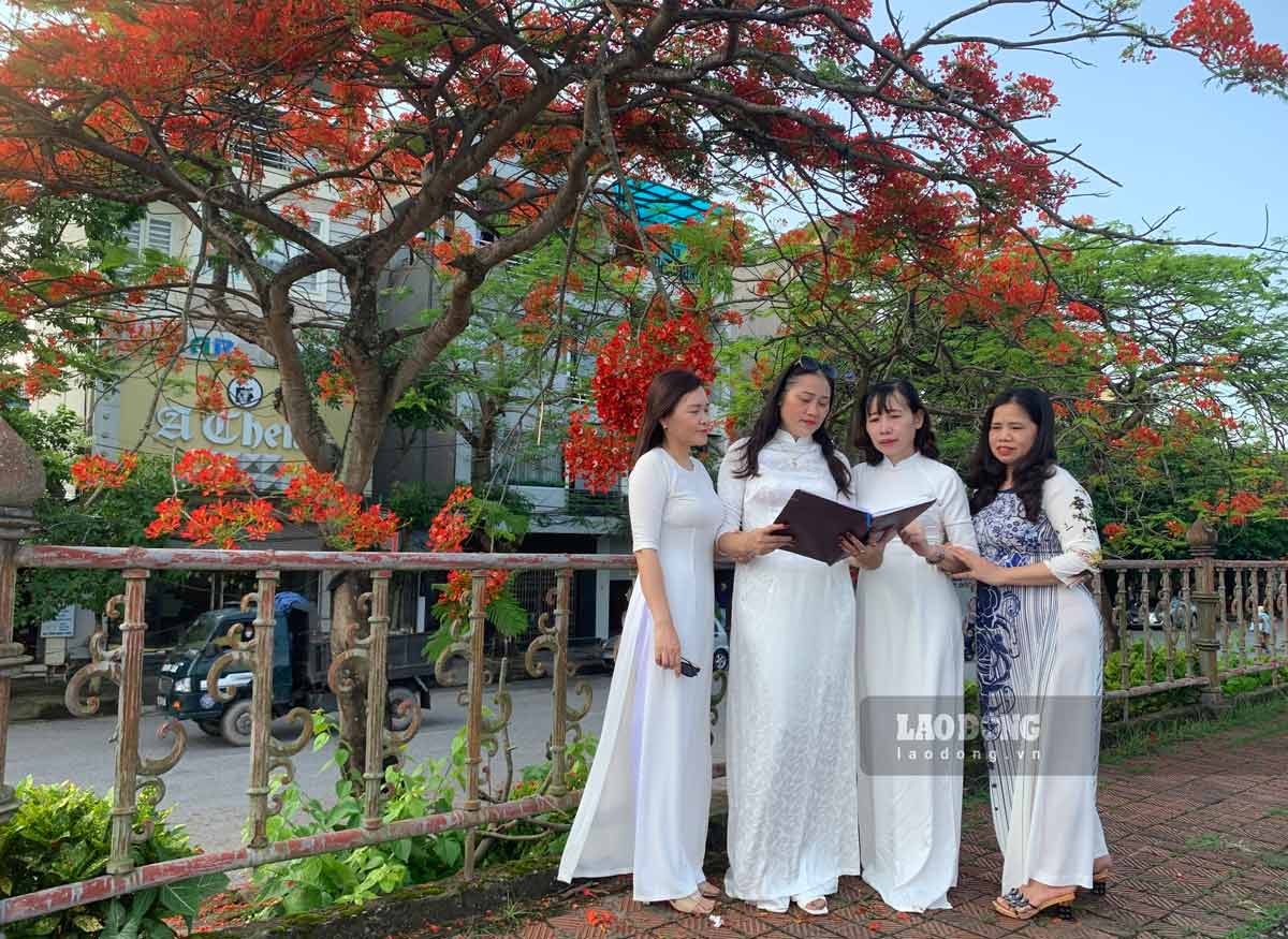 Hoa phượng nở rực tuyến đê sông Đào TP Nam Định. Ảnh: Lương Hà