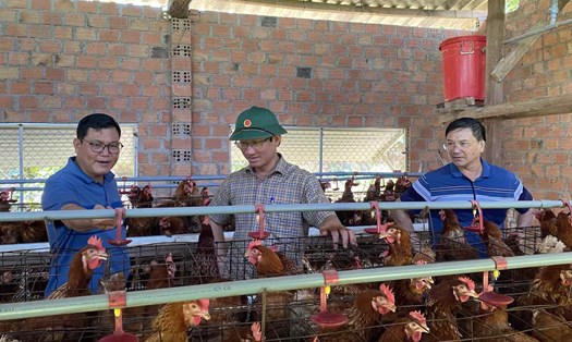 Lãnh đạo thành phố Kon Tum kiểm tra các trại chăn nuôi gà tại phường Duy Tân. Ảnh: Huyền Nga