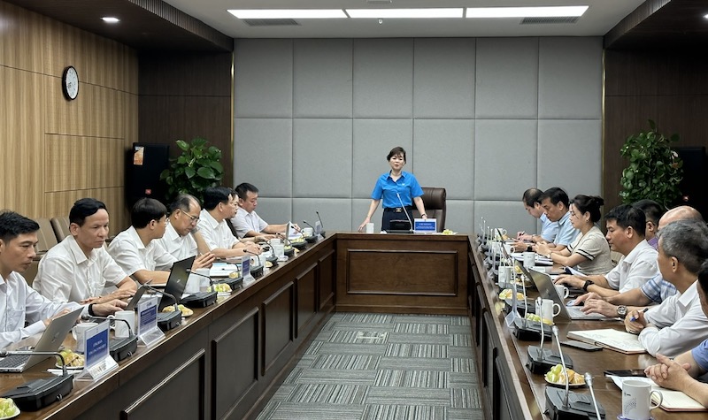 Bà Trần Thị Thanh Hà - Ủy viên Đoàn Chủ tịch, Trưởng ban Quan hệ lao động Tổng LĐLĐVN - phát biểu tại buổi khảo sát. Ảnh: Hà Anh