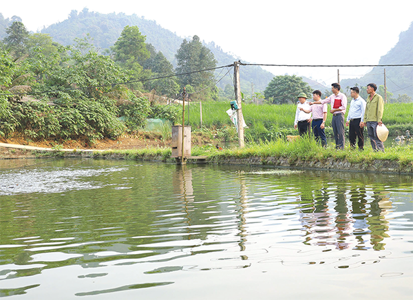Nhiều hộ ở xã Tả Phời, TP Lào Cai vay vốn chính sách phát triển nuôi thủy sản. Ảnh: NHCSXH