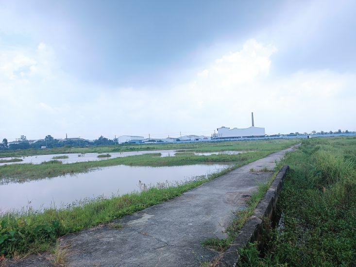 Diện tích đất bỏ trống tại cụm công nghiệp Nguyên Khê (huyện Đông Anh, Hà Nội). Ảnh: Thu Giang