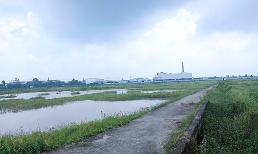 Diện tích đất bỏ trống tại cụm công nghiệp Nguyên Khê (huyện Đông Anh, Hà Nội). Ảnh: Thu Giang