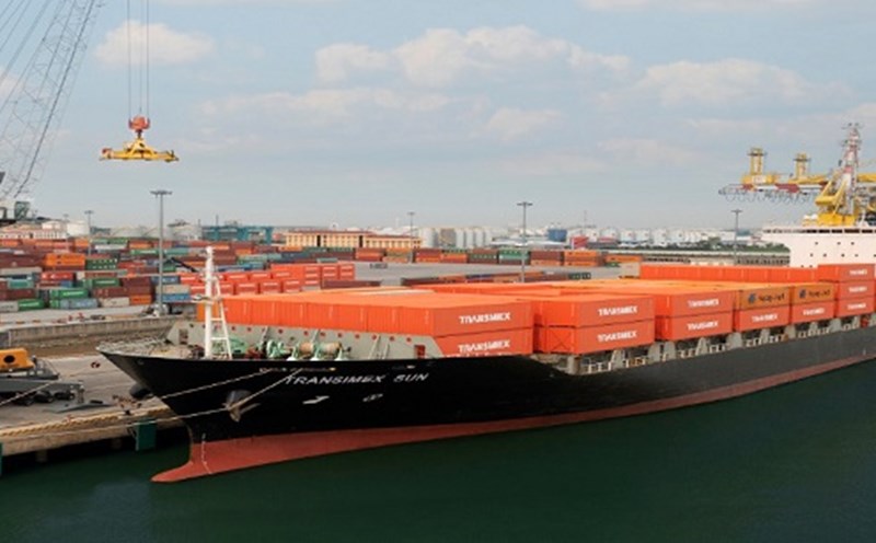 Container Transimex Transimex báo lãi giảm mạnh, nợ vay liên tục tăng