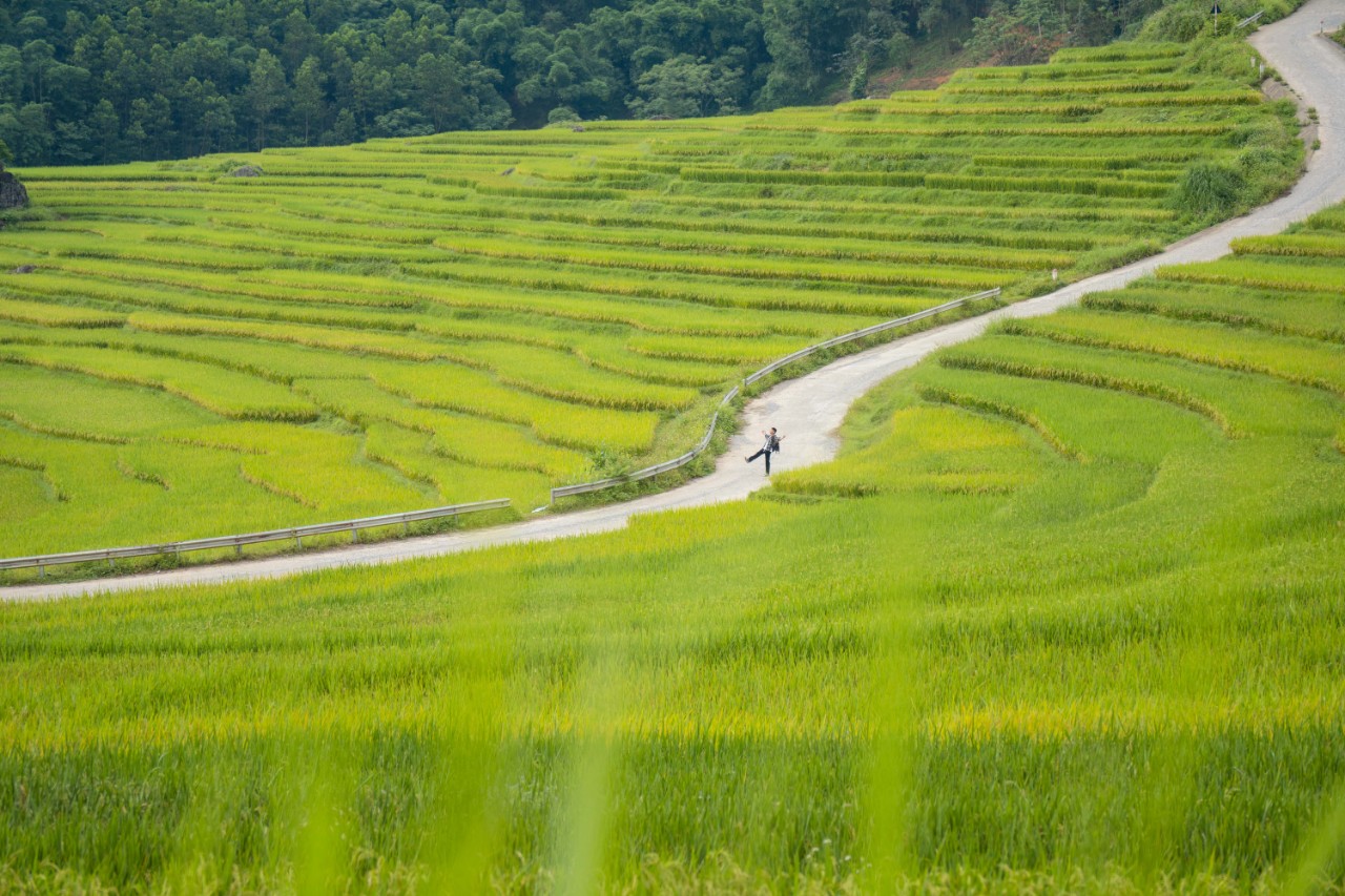 Theo anh Phong chia sẻ, khí hậu vào hè của Pù Luông rất mát mẻ, do đó đây còn là địa điểm trốn nóng yêu thích của nhiều du khách. Không gian bao la, trong lành và yên bình nơi đây thích hợp để khách du lịch nghỉ ngơi hoặc đi bộ, lái xe khám phá. Đường đi cũng rất dễ dàng di chuyển. 