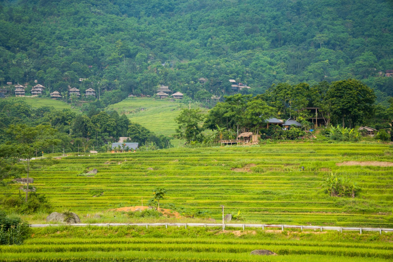 Ở bản Đôn cũng như Pù Luông không có sự ồn ào, nơi đây mang đậm vẻ hoang sơ của vùng quê “ngủ yên” cạnh biên giới. Dù đang chuyển hướng sang làm du lịch, người dân địa phương vẫn giữ truyền thống trồng lúa nước, làm thủ công nghiệp và lối sinh hoạt đậm đà bản sắc dân tộc. Điều này tạo nên trải nghiệm mới mẻ cho du khách đi đến bản Đôn. 