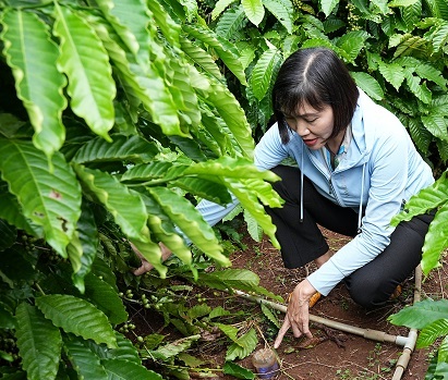 Chị Mai Thị Nhung, nữ trưởng nhóm nông dân của chương trình NESCAFÉ Plan, chia sẻ về việc sử dụng chai để đo độ ẩm của đất trong quá trình canh tác giúp tiết kiệm lượng nước tưới tiêu và chi phí 