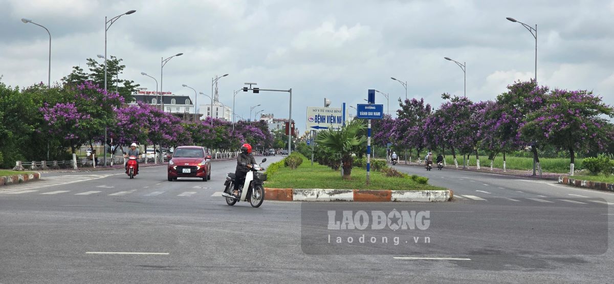 Tuyến đường Lê Quý Đôn hiện có ở phía Nam TP Thái Bình đang dừng lại ở nút giao ngã 3 với đường vành đai. Ảnh: Trung Du