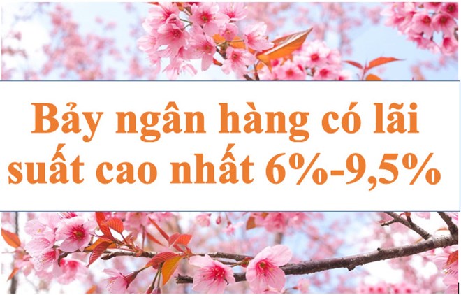 Lãi suất ngân hàng hôm nay 20.5: Bảy ngân hàng có lãi suất cao nhất 6%-9,5%