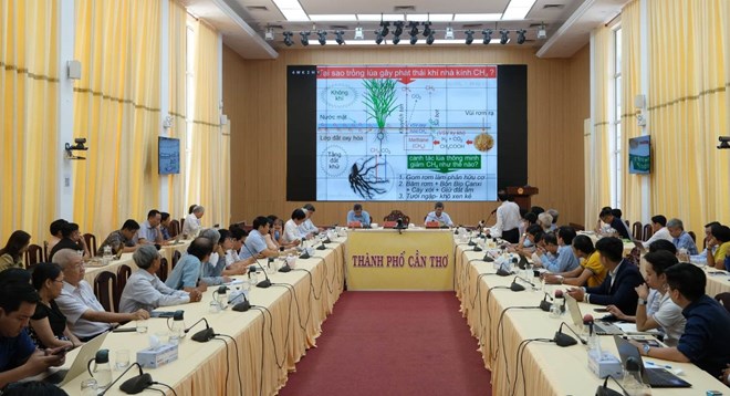 Thương lái lúa gạo cũng cần có giấy chứng nhận, đăng ký hành nghề