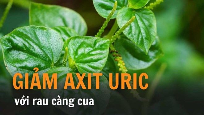 Axit uric cao, nên ăn rau gì?