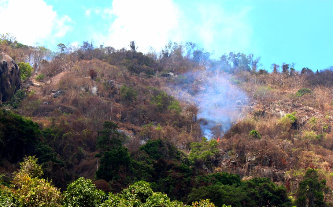 Một góc đám cháy tại khu vực Núi Tô. Ảnh: Lâm Điền
