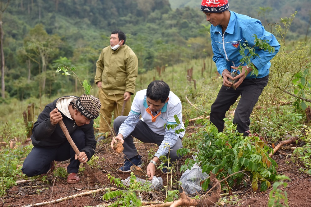 Người dân tại huyện Bố Trạch (Quảng Bình) vui mừng ươm những mầm cây tạo sinh kế lâu bền cho quê hương.