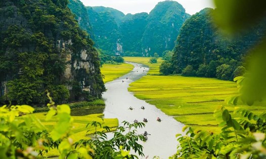 Tuần Du lịch Ninh Bình với chủ đề "Sắc vàng Tam Cốc - Tràng An" năm 2024 sẽ diễn ra từ ngày 1-8.6. Ảnh: Nguyễn Trường